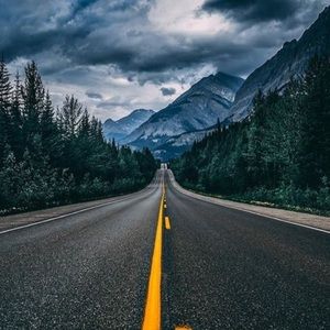 Meet your Posher, Gracie